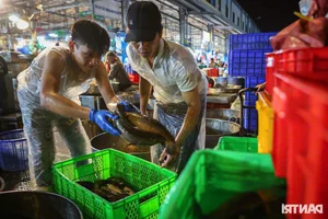 Inside Ho Chi Minh City’s Largest Snakehead Fish Market for God of Wealth Day - image 9