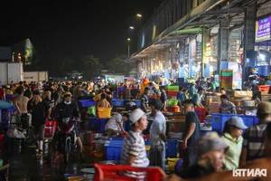 Inside Ho Chi Minh City’s Largest Snakehead Fish Market for God of Wealth Day - image 10