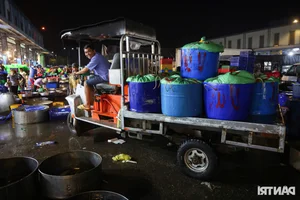 Inside Ho Chi Minh City’s Largest Snakehead Fish Market for God of Wealth Day - image 3