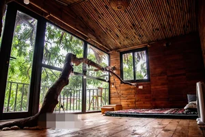 The One-of-a-Kind Treehouse Hidden in the Outskirts of Hanoi - image 9