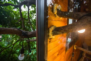 The One-of-a-Kind Treehouse Hidden in the Outskirts of Hanoi - image 4