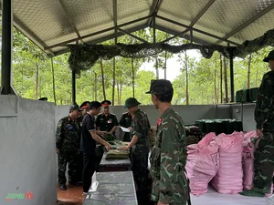 Yen Bai Province Successfully Concludes Comprehensive Military and Civil Defense Drills for National Security - image 3