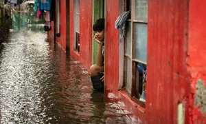 Devastating Impact of Typhoon Yagi Across Southeast Asia and China - image 4