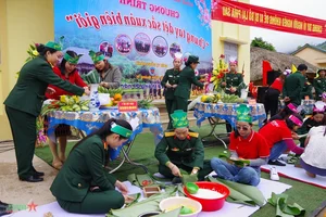 The Pink Lotuses of Quang Tri: Symbols of Resilience and Cultural Beauty - image 10