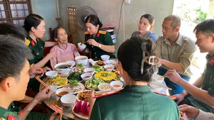 The Pink Lotuses of Quang Tri: Symbols of Resilience and Cultural Beauty - image 12
