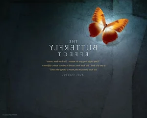 Understanding the Butterfly Effect: How Small Actions Can Change the World - image 5
