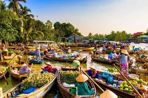 Ultimate Guide to Mekong Delta Floating Season: Choosing the Best Tour - image 3