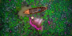 Ultimate Guide to Mekong Delta Floating Season: Choosing the Best Tour - image 2