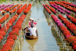 Ultimate Guide to Mekong Delta Floating Season: Choosing the Best Tour - image 1