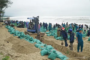 Saving Quang Ngai's Famous Beach: 21,000 Sandbags Deployed Against Coastal Erosion - image 1
