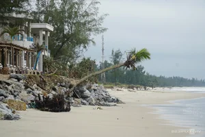 Saving Quang Ngai's Famous Beach: 21,000 Sandbags Deployed Against Coastal Erosion - image 4