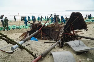 Saving Quang Ngai's Famous Beach: 21,000 Sandbags Deployed Against Coastal Erosion - image 0