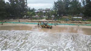 Saving Quang Ngai's Famous Beach: 21,000 Sandbags Deployed Against Coastal Erosion - image 6