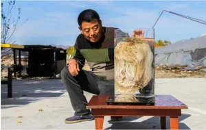 Lucky Farmer Strikes It Rich Overnight After Unearthing Rare Treasure - image 3