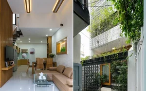Inside a 50m2 Urban Townhouse: Maximizing Light and Greenery - image 6
