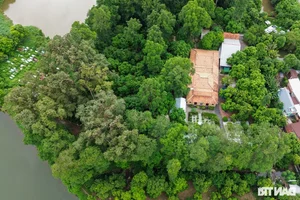 Ancient Mekong Delta Pagodas Serving as Sacred Sanctuaries for Bats and Birds - image 12