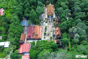 Ancient Mekong Delta Pagodas Serving as Sacred Sanctuaries for Bats and Birds - image 3