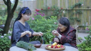 Hidden Moments of Li Ziqi: The 'Pastoral Queen' and the Challenges Behind Her Perfect Content - image 0