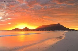Exploring the Majestic Beauty of Table Mountain: Africa's Legendary Flat-Top Wonder - image 4