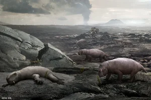 Is Earth Entering the Sixth Mass Extinction Event? - image 11