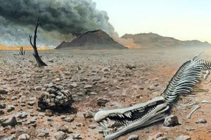 Is Earth Entering the Sixth Mass Extinction Event? - image 10
