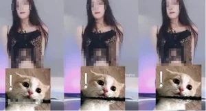 Exploring the Controversial Trends and Broadcasting Challenges of South Korean Live Streamers - image 14