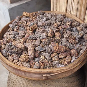 Natural Treasures: Animal Byproducts That Are Worth More Than Gold - image 5