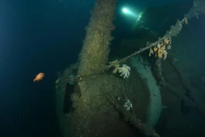 Lost British Warship Found Intact After Over 100 Years Underwater - image 6