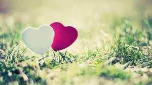 Cute and Romantic Couple Love Wallpapers for Mobile and PC - image 18