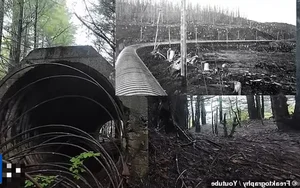 Inside Canada's Largest Ghost Town: A Haunting Journey Into the Past - image 9