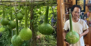 The Incredible Life of an 82 Year Old Singer with 14 Children - image 0