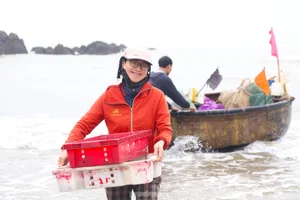 Early Morning Vibrancy: The Bustling Seafood Market at Cua Lo Beach - image 3