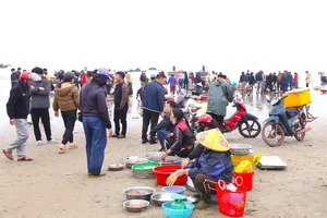 Early Morning Vibrancy: The Bustling Seafood Market at Cua Lo Beach - image 10