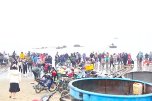 Early Morning Vibrancy: The Bustling Seafood Market at Cua Lo Beach - image 6