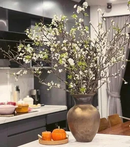 Wild Plums From the Forest Become a Viral Online Market Sensation - image 4
