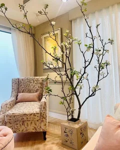 Wild Plums From the Forest Become a Viral Online Market Sensation - image 5