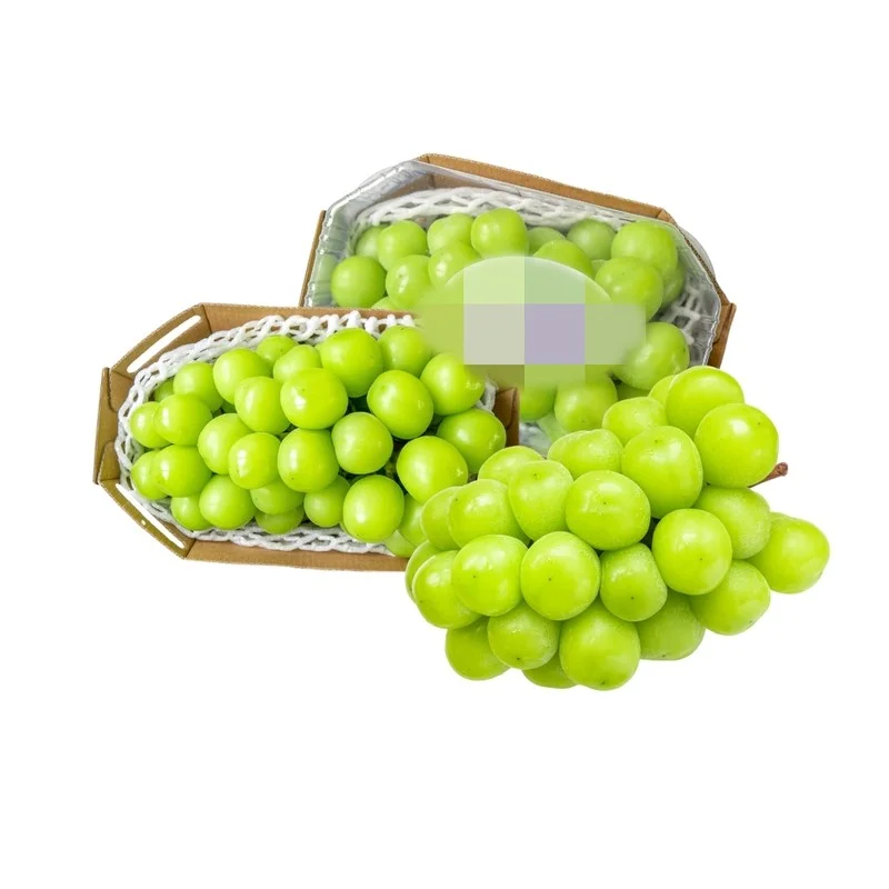 The Luxury of Korean Shine Muscat Grapes: Is the High Price Tag Truly Worth the Flavor?
