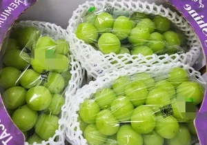 The Luxury of Korean Shine Muscat Grapes: Is the High Price Tag Truly Worth the Flavor? - image 8