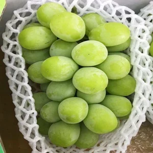 The Luxury of Korean Shine Muscat Grapes: Is the High Price Tag Truly Worth the Flavor? - image 2