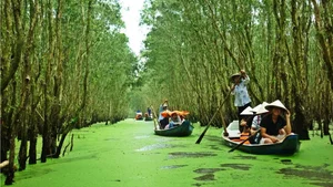 Exploring the Charm of Ho Van Cuong’s Hometown: A Rising Tourist Destination - image 1