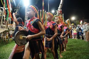 Experience the Soul of the Highlands with Weekly Gong Performances in Gia Lai - image 3