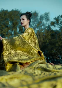 Guardian Warrior: Mystery of King Dinh's Tomb Set to Dominate Vietnamese Cinema in 2026 - image 3