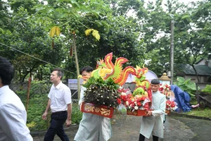 Unique Vinh Phuc Wedding Scene Goes Viral for One-of-a-Kind Decor - image 3