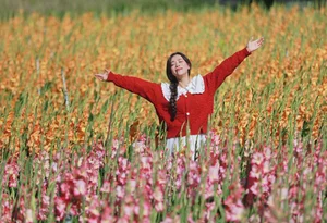 Stunning Gladiolus Fields at Mimosa Pass Become Da Lat's Latest Hotspot - image 7
