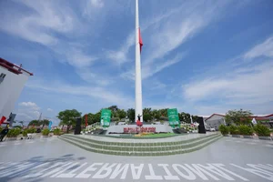 GreenUP Long An Half-Marathon 2024: Running to Plant 11,000 Trees in Central Vietnam - image 7
