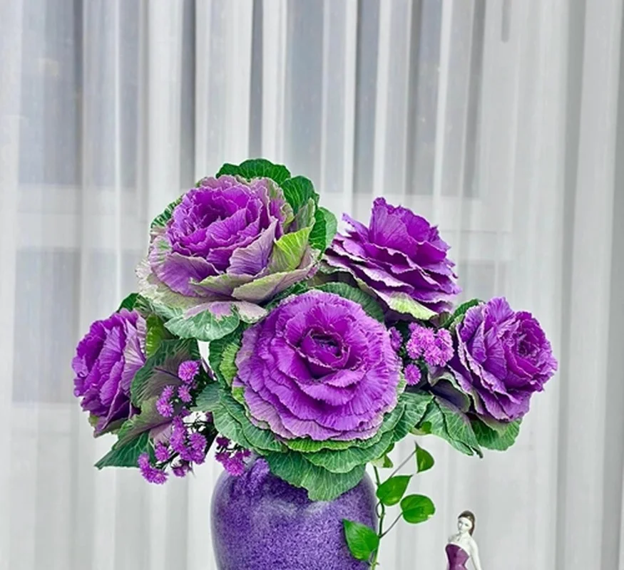 Unique Cabbage Roses: The Hottest Floral Trend for Lunar New Year 2025
