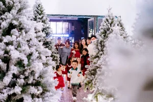 Festive Christmas Check-In Spots at Ecopark Urban Areas Attract Crowds - image 3