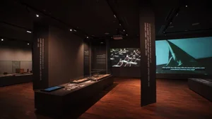 Historic 100-Year-Old French Colonial Building Transformed into a Modern Museum - image 5