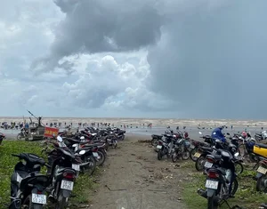 Locals Harvest 'Heaven's Gift' as Seafood Washes Ashore After Storm No. 4 - image 2