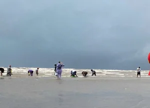 Locals Harvest 'Heaven's Gift' as Seafood Washes Ashore After Storm No. 4 - image 5